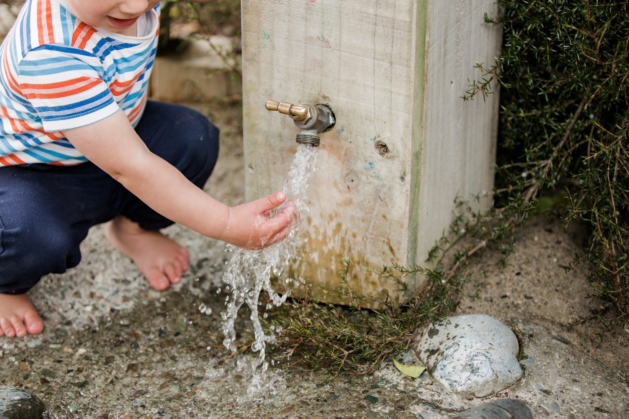 Nurture & Bloom Te Anau