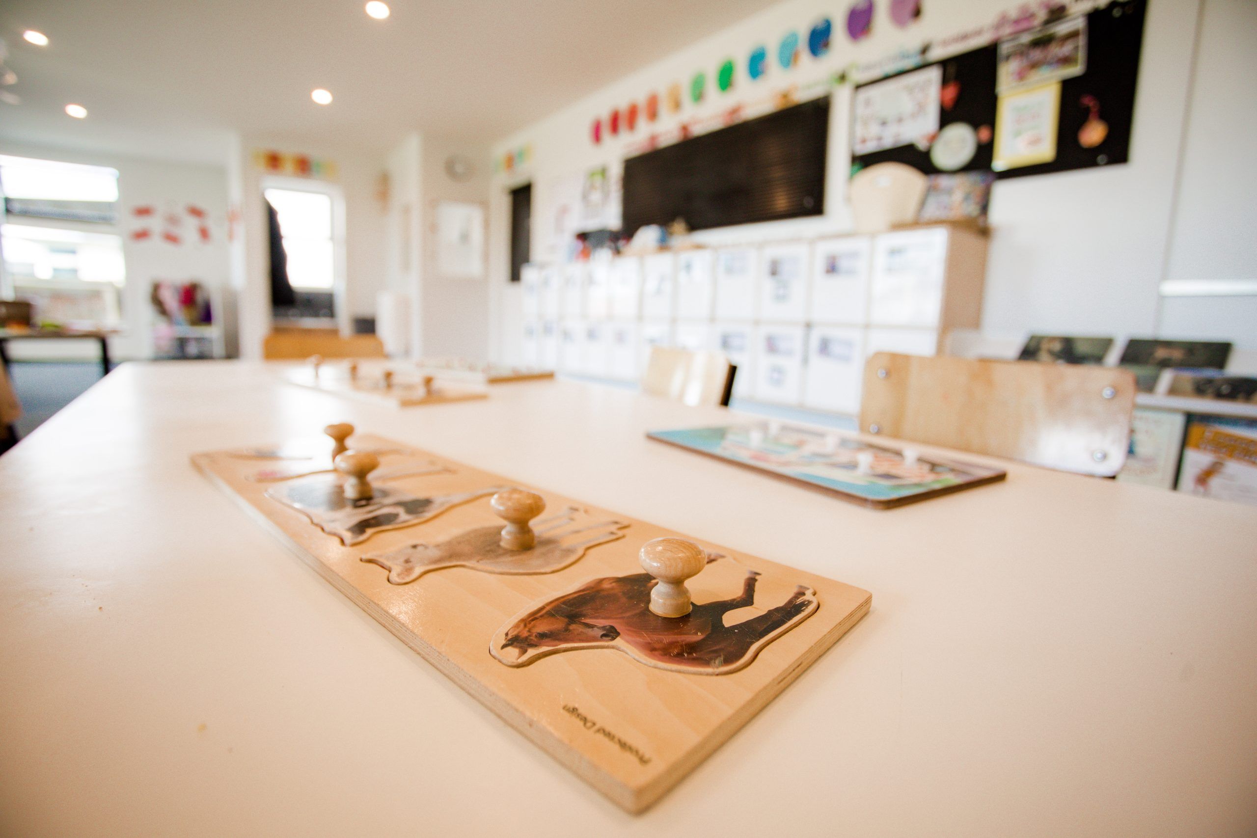 Nurture & Bloom Te Anau