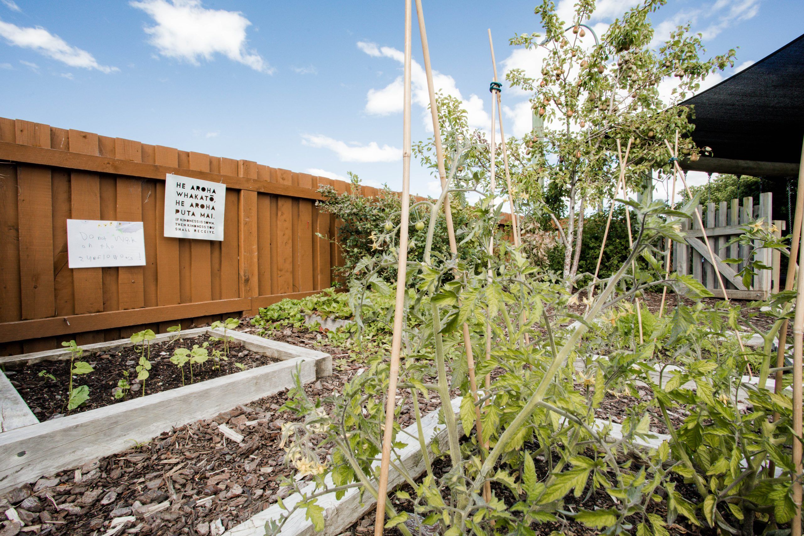 Nurture & Bloom Te Anau