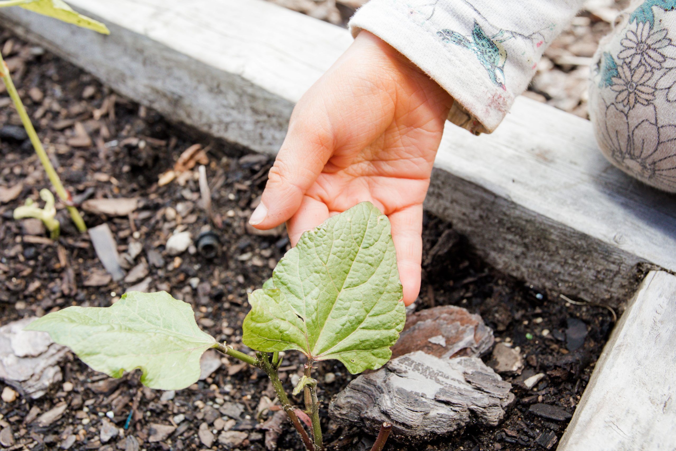 Nurture & Bloom Te Anau