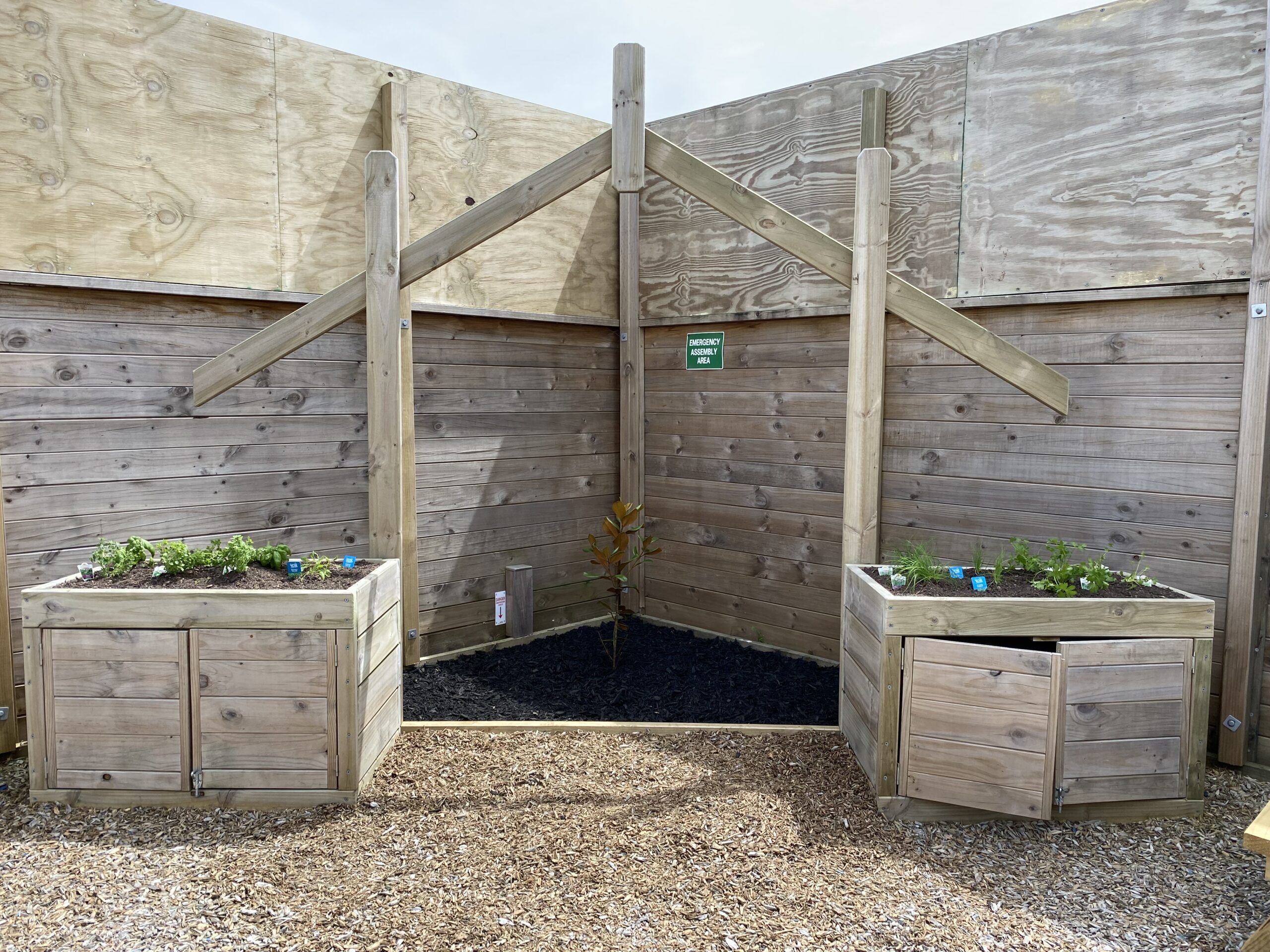 Nurture and Bloom | Outdoor nature playspace with vegetable garden and tree