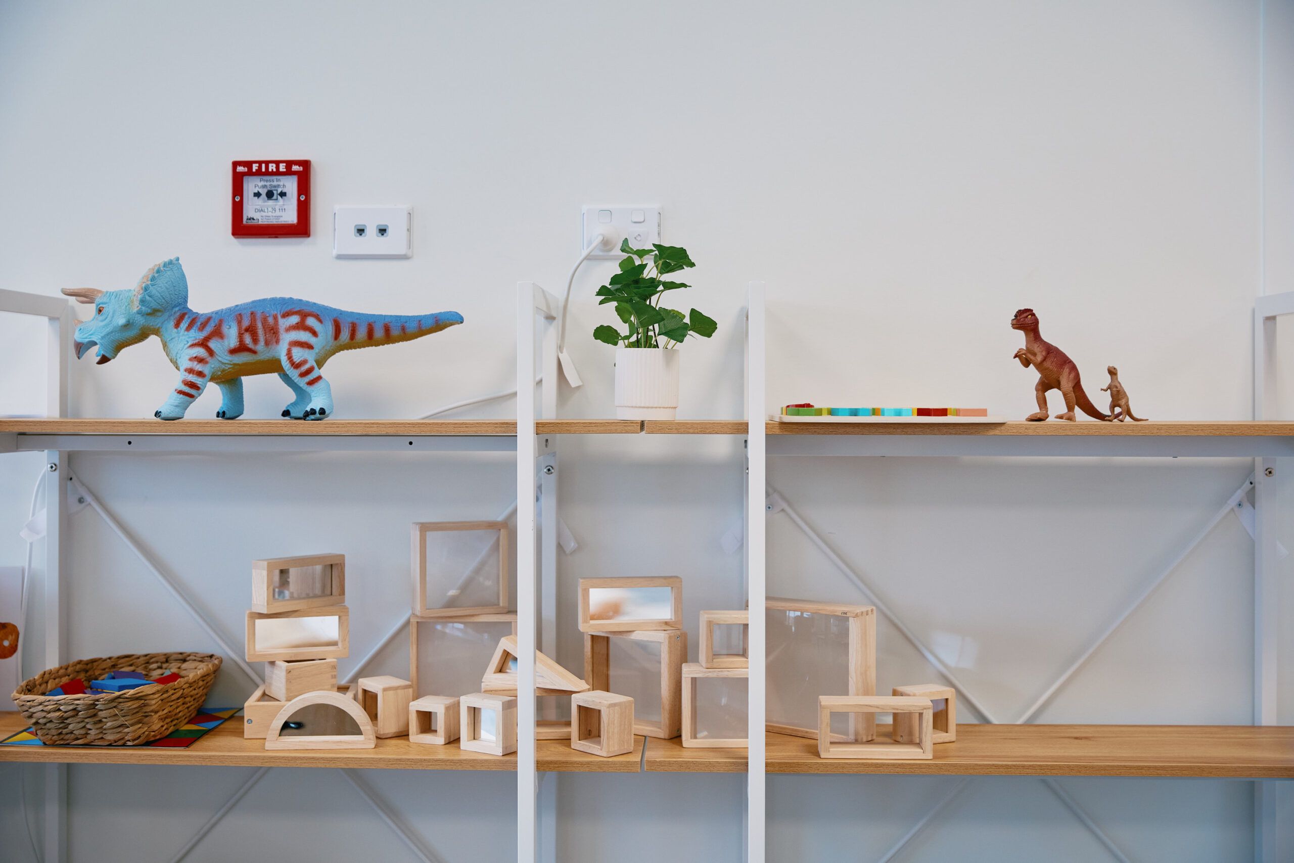 Nurture & Bloom | Indoor playing and learning area; dinosaurs, wooden blocks